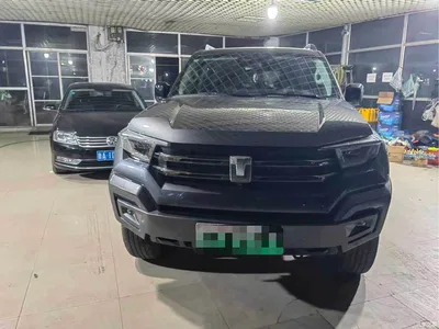 2024 Tank 400 New Energy Hi4-T Off-Road Edition, фото 2, лот 11534951