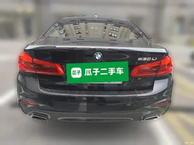 2020 BMW 5 Series 530Li Leading M Sport Package, фото 4, лот 11217379