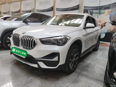 2020 BMW X1 sDrive20Li Premium Edition, фото 1, лот 11468591