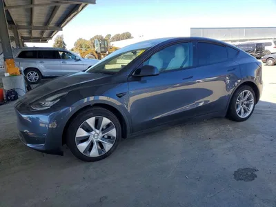 2021 TESLA MODEL Y, фото 1, лот 10853697