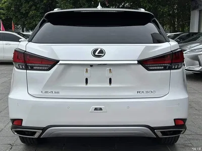 2020 Lexus RX Facelift 300 AWD Elegance Edition, фото 4, лот 11141484