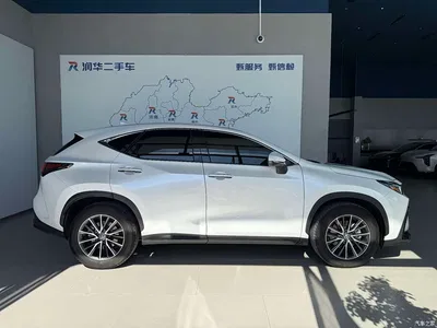 2023 Lexus NX 350h FWD Joy Creation Edition, фото 3, лот 10334675