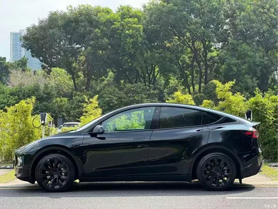 2021 Tesla Model Y Standard Range Rear-Wheel Drive, фото 4, лот 11184537