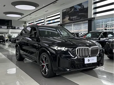 2023 BMW X5 xDrive 30Li Premium M Sport Black Night Package, фото 3, лот 11222456