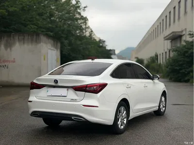 2019 Changan Eado Blue Whale Edition 280T GDI DCT Power Speed, фото 4, лот 10245975