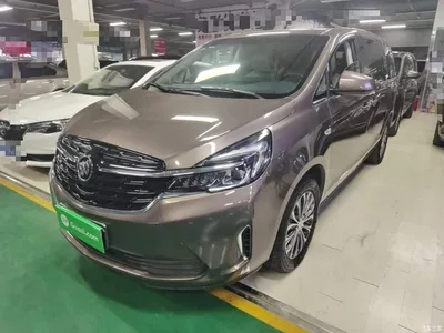2021 Buick GL8 Land Business Class 652T Luxury, фото 2, лот 10886750