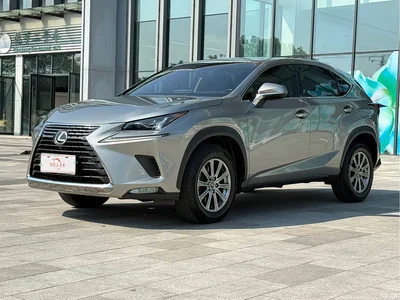 2018 Lexus NX Model 200 FWD Fengxing Edition China V, фото 1, лот 10394463