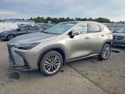2024 LEXUS NX 350H LUXURY, фото 1, лот 10900651