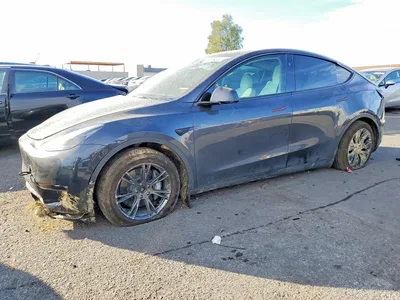 2025 TESLA MODEL Y, фото 1, лот 10857243