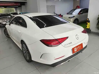 2022 Mercedes-Benz CLS 300 Dynamic, фото 4, лот 11096848