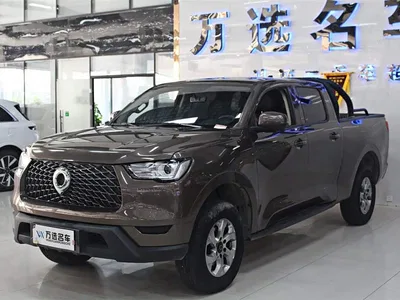 2021 Great Wall Pao 2.0T Commercial Edition Automatic Diesel 2WD Elite Long Box GW4D20M, фото 1, лот 10245996