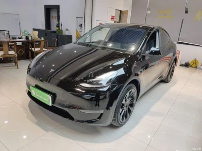 2024 Tesla Model Y Long Range AWD, фото 2, лот 10370627