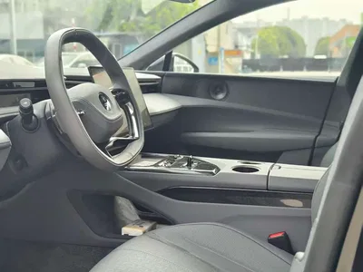 2025 Lotus Cars EMEYA Blossom 600 Luxury, фото 4, лот 11155341