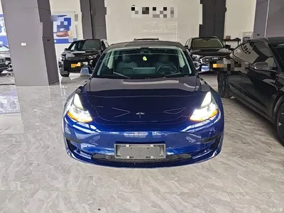 2021 Tesla Model 3 Standard Range Rear-Wheel Drive Upgrade, фото 3, лот 10370269