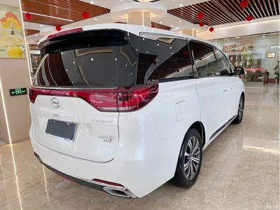 2018 GAC Trumpchi Trumpchi M8 320T Flagship Edition, фото 4, лот 10415301