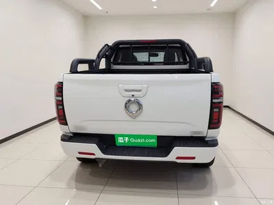 2019 Great Wall Pao 2.0T Automatic Gasoline 2WD Comfort GW4C20B, фото 3, лот 11011717