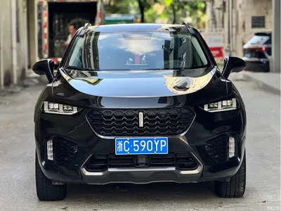 2017 WEY VV7 2.0T Luxury, фото 2, лот 11196694