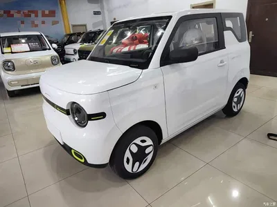 2025 Geely Galaxy Panda mini 210km Vitality Bear, фото 2, лот 10433308