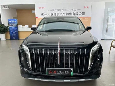 2024 Hongqi HS7 PHEV 2.0T PHEV AWD Qichang Edition 7-seater, фото 2, лот 11222325