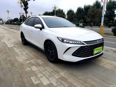 2025 BYD Qin PLUS DM-i Smart Drive 55KM Leader, фото 4, лот 10674482