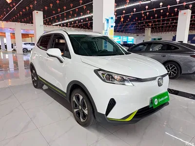 2020 Changan New Energy E-Pro Ultimate Power Edition, фото 4, лот 11172048