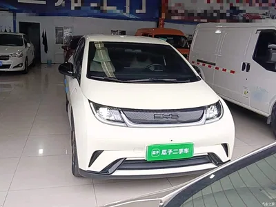 2021 BYD Dolphin 405km Freedom Edition, фото 3, лот 11396353