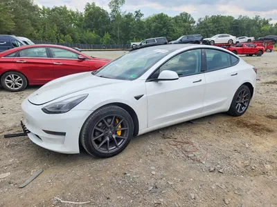 2021 TESLA MODEL 3, фото 1, лот 10855447