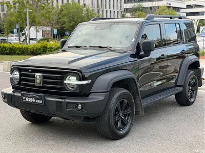 2025 Tank 300 2.0T Challenger, фото 1, лот 10895026