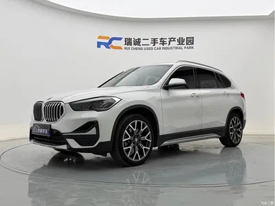 2021 BMW X1 xDrive25Li Exclusive, фото 1, лот 10466464