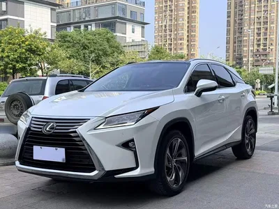 2016 Lexus RX 300 4WD Elegance Edition (China V), фото 1, лот 10827199