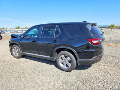 2025 HONDA PILOT EXL, фото 2, лот 11562335