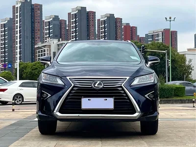 2016 Lexus RX 300 2WD Elite Edition (China V), фото 2, лот 10317057