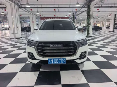 2021 Haval H6 Model National Trend Edition 1.5T Auto Champion, фото 2, лот 10385357