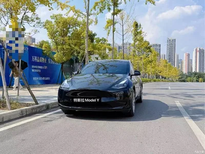 2022 Tesla Model Y Rear-Wheel Drive Version, фото 1, лот 11137856
