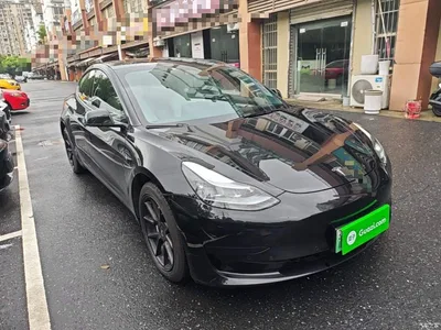 2021 Tesla Model 3 Standard Range Rear-Wheel Drive Upgrade 3D6, фото 4, лот 10370027