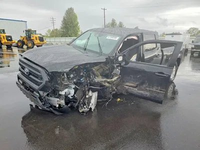 2024 TOYOTA TACOMA SR5, фото 1, лот 10507443