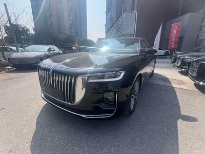 2022 Hongqi H9 2.0T Smart Connect Flag Enjoy Edition, фото 2, лот 10288281