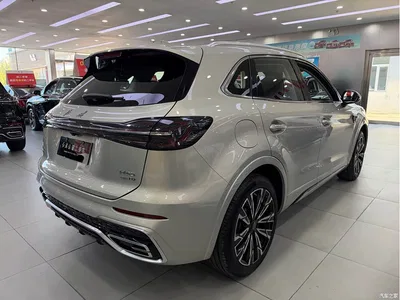 2023 Hongqi HS5 2.0T AWD Flag Enjoy Pro Edition, фото 4, лот 11134518
