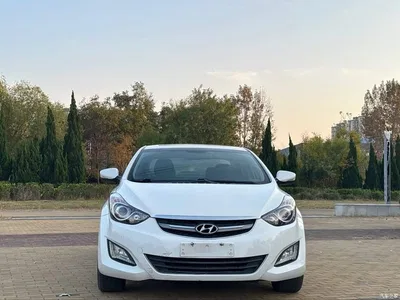 2015 Hyundai Langdong 1.6L Auto Premium, фото 2, лот 11412459