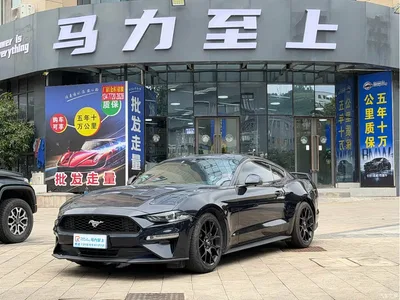 2021 Ford Mustang 2.3T EcoBoost Shadow Performance Advanced Edition, фото 1, лот 10635446