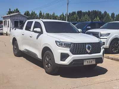 2023 Great Wall Pao 2.0T Commercial Auto Gasoline 4WD Navigation Long Box GW4C20B, фото 4, лот 10246058