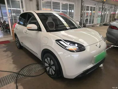 2024 Wuling Motors Wuling Bingo 333km Comfort Edition, фото 4, лот 10369766