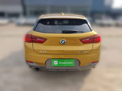 2019 BMW X2 (Import) sDrive20i M Off-Road Package China VI, фото 3, лот 11196353