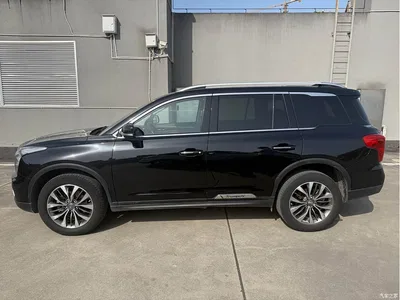 2017 GAC Trumpchi Trumpchi GS8 320T AWD Luxury Smart Connect (7-Seater), фото 3, лот 10418737