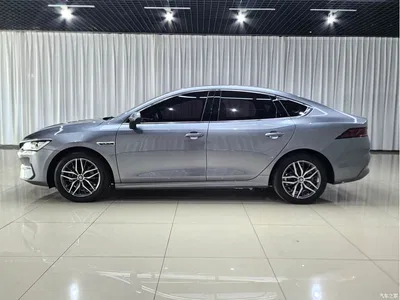 2021 BYD Qin PLUS EV 500KM Premium Model, фото 4, лот 10364117