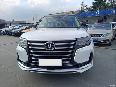 2019 Changan CS95 2.0T 4WD Luxury Model, фото 2, лот 11018062