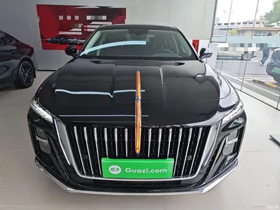2025 Hongqi H5 1.5T DCT Flag Rhythm 500,000 Units Memorial Edition, фото 3, лот 11188546
