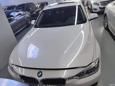 2017 BMW 3 Series 320Li Fashion, фото 3, лот 11220713