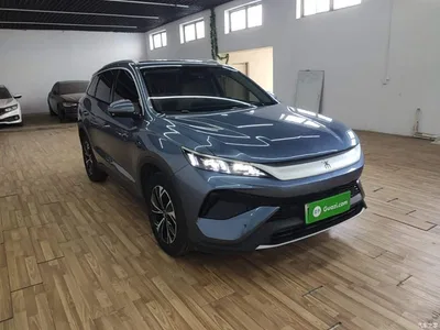 2025 BYD Song Pro New Energy 2nd Generation Smart Drive Edition DM-i 75KM Leading Type, фото 4, лот 10276809