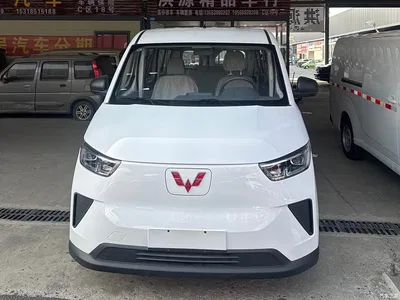 2025 Wuling Motors Wuling Yangguang 400km Bus Comfort Edition, фото 2, лот 11520338